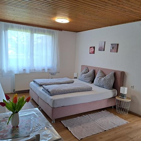 Ferienwohnung Zanier Gaissau  エクステリア 写真