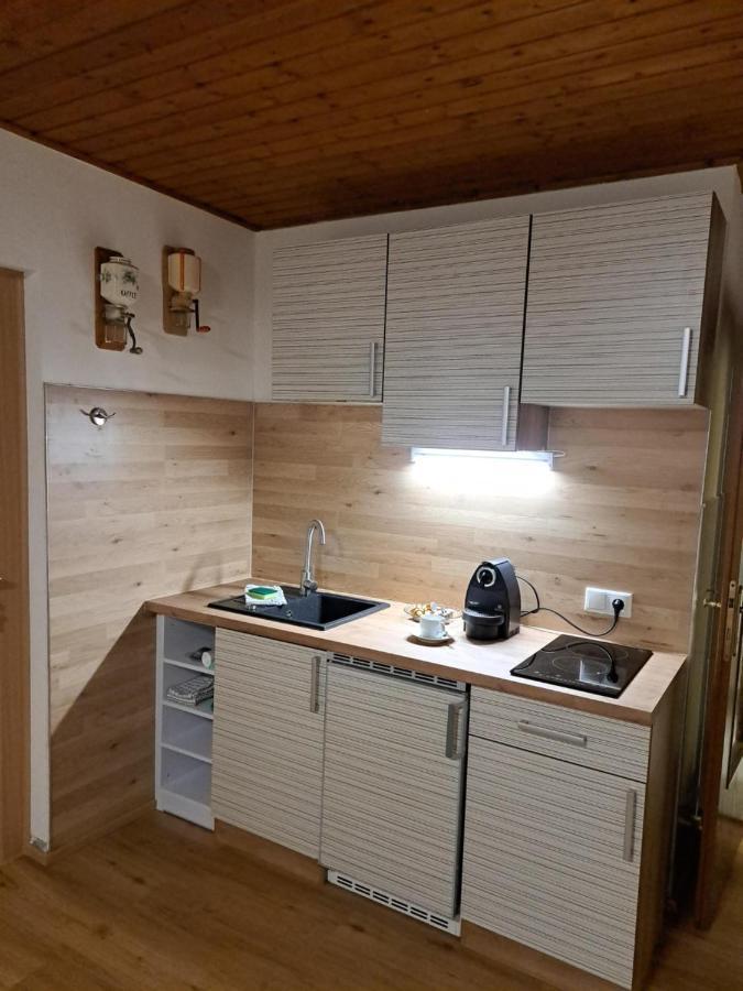 Ferienwohnung Zanier Gaissau  エクステリア 写真