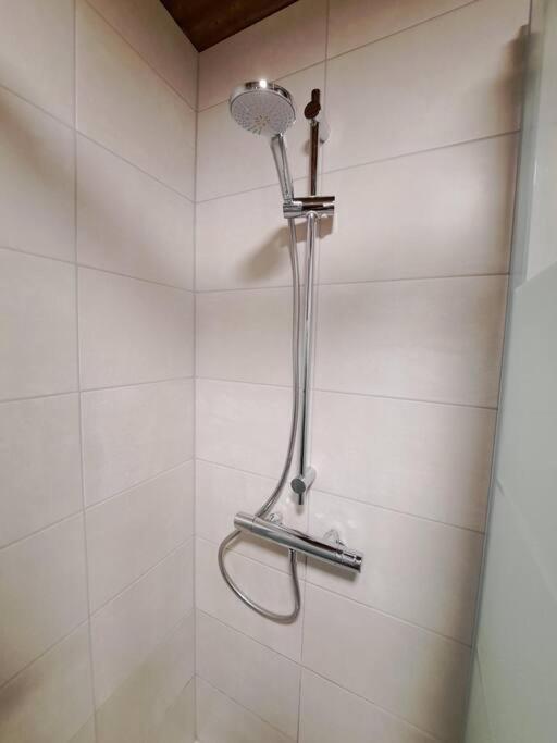 Ferienwohnung Zanier Gaissau  エクステリア 写真