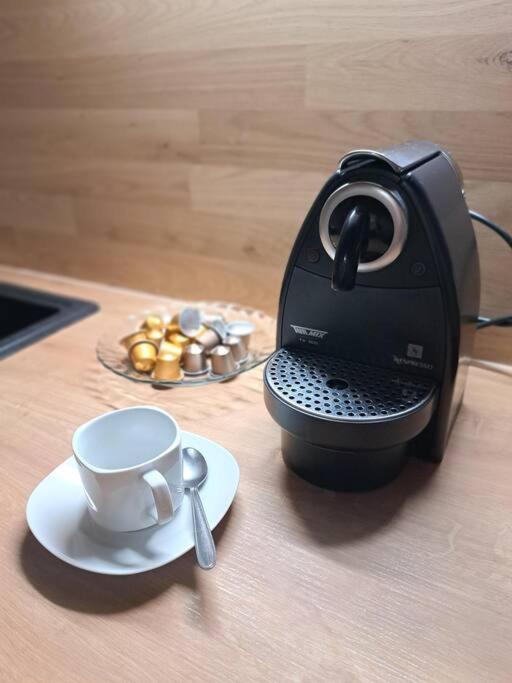 Ferienwohnung Zanier Gaissau  エクステリア 写真