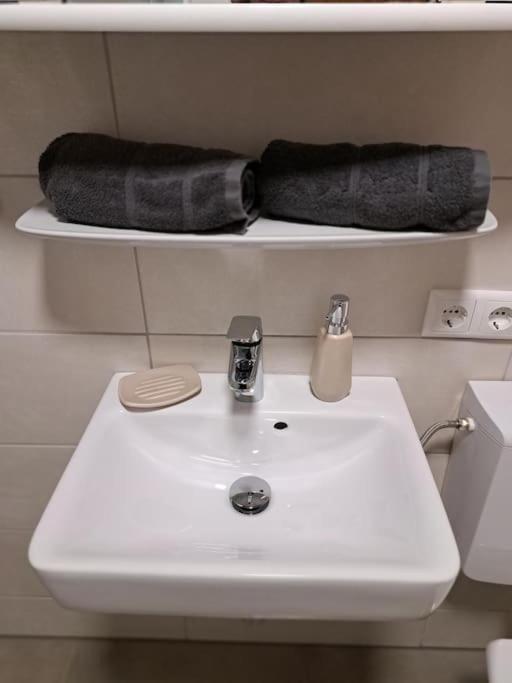 Ferienwohnung Zanier Gaissau  エクステリア 写真