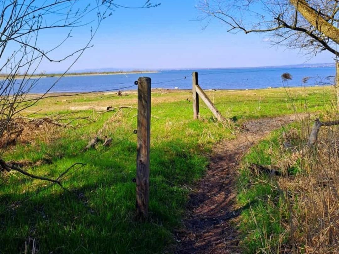 Ferienwohnung Zanier Gaissau  エクステリア 写真
